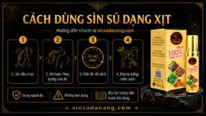 hdsd sinsu
